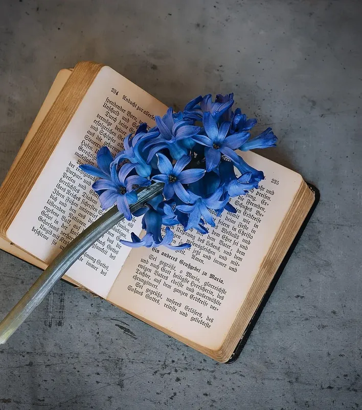 How to go from a blog post to a book.
