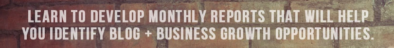 Business Plans for Bloggers: Monthly Analytics and Tracking Section