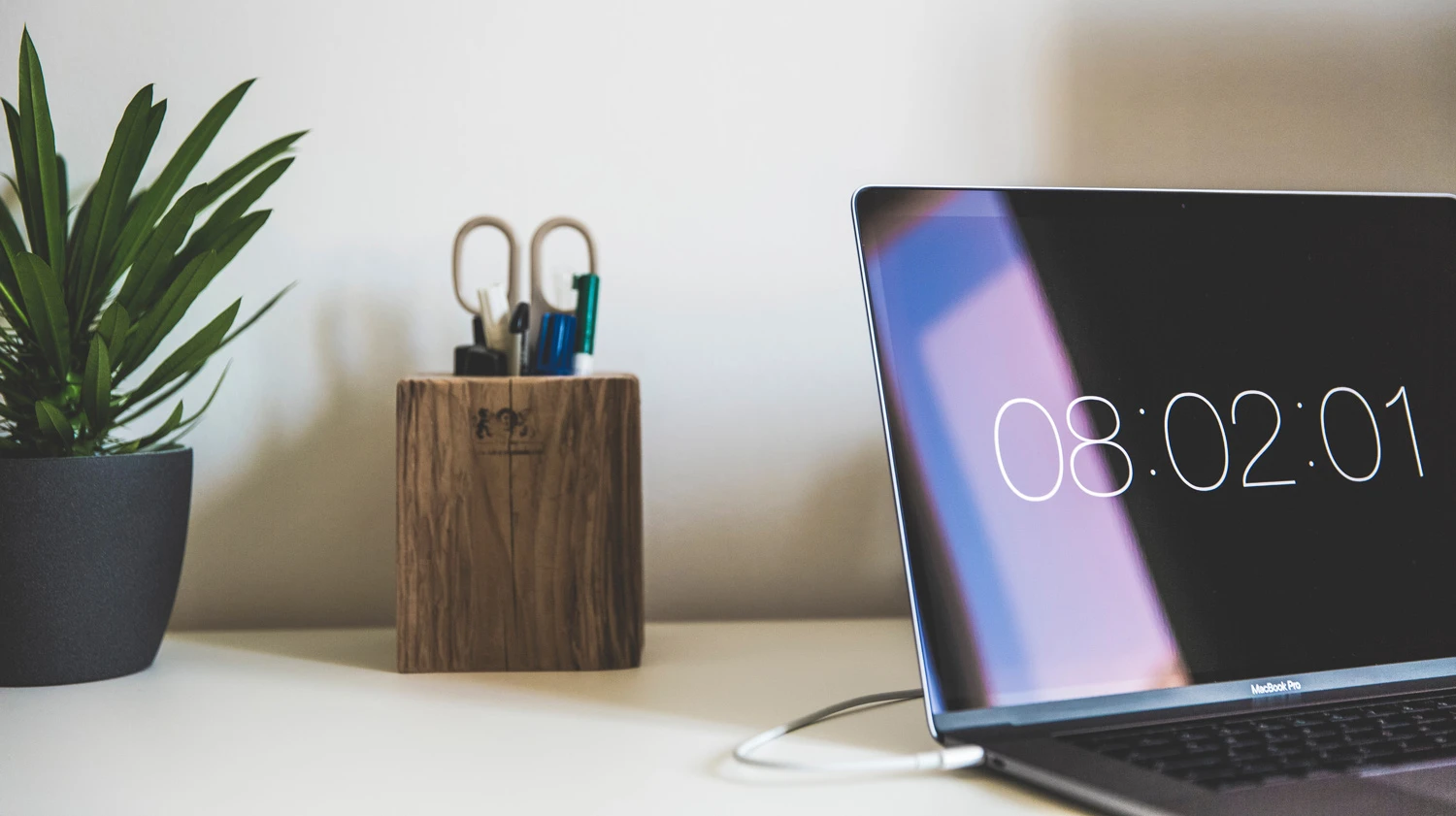 Host an online conference